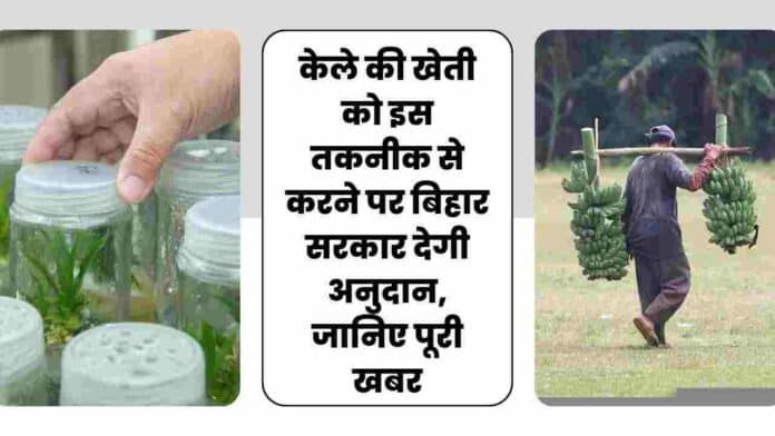 Subsidy for doing tissue culture technology