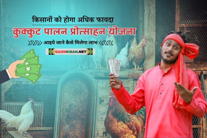 Poultry promotion scheme