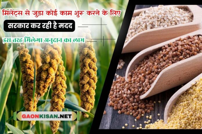 millets subsidy