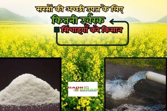 Fertilizer and irrigation for good yield of mustard