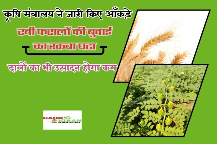 area under sowing of Rabi crops decreased