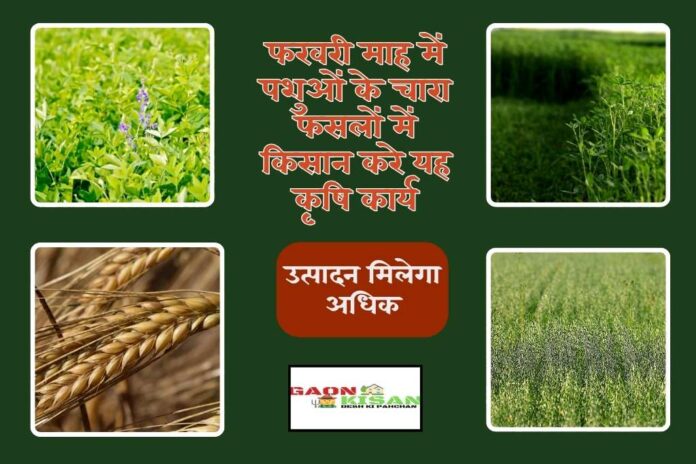 agricultural work in fodder crops in February